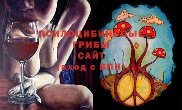 гашик Алексин