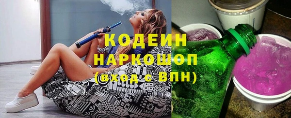 гашик Алексин