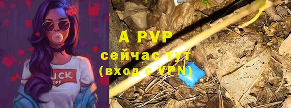 гашик Алексин